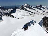 12a-Berner-Alpen-Gipfelgrat
