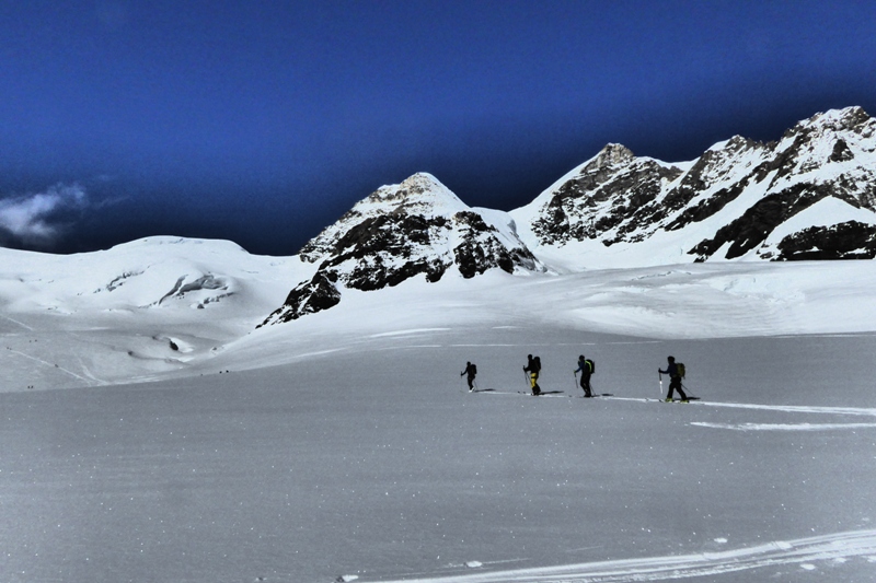 Berner Alpen unterhalb der Jungfrau